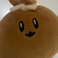 キノピオ探検隊もちきん隊員