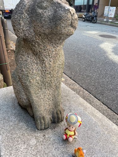 人間‼️このわんこ飼っていいですか⁉️
凄いいい子なんですよ‼️静かです‼️‼️🐶