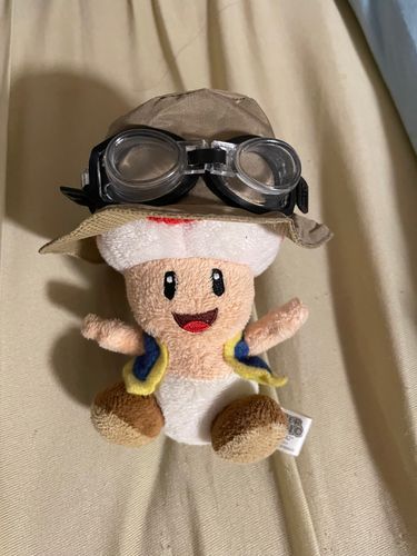 最近うちのベテラン、通称チビちゃんはセリアで帽子を手に入れました‼️👒
これでどんな暑い日でもワクワクに冒険出来ちゃいますね！🏕️

やー、ワタクシ隊長リュックが重たいのでたまには他のメンバーにお出かけを頼みたくなるお年ゴロ…
ギックリ腰には皆様要注意‼️ですよ‼️