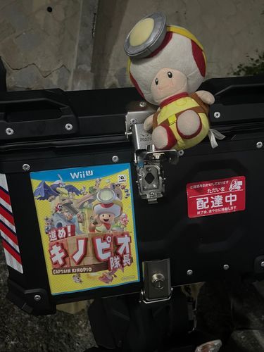 今日から乗り物の裏に隊長の広告を乗せて走って貰いますよ‼️スポンサー、ですからね‼️

え❓イタ車❓このバイクはスズキですよ❓
    ❓
( =◎= )
(   'ч'   )