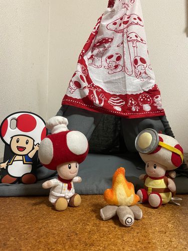 シェフくん、今日の冒険を報告してください‼️

…ほほー、そんな所を冒険してきたんですかぁ、ちょっと羨ましいですね…何故今日はワタクシじゃないのでしょうか…

え❓黒くなってきたから今日はお風呂に入れる❓❓
…嫌な事を聞きましたね…今のうち脱走しましょうか…( ‘༥’ )
