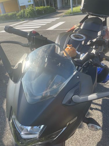 意外と素直で走りやすかった
見た目ほどコワいヤツではないらしい

もちもちきんちゃく
もちきんちゃく
ちゃく
ちゃく
ちゃく
　　　,,-¥-,      ＿＿
　　 ⎛  ˶'ᵕ'˶ ⎞＼　\
＜￣＼"--o-o-" =)へ_ﾍ
　　＼ﾆ二二-／　 ＿)
　ヘ>―/ /／　 ∠／
γ＼＼        )　6／||ヽ
| (]＼￣￣　/  |(◎)|
ヽ＿ノ￣￣￣ ヽ＿ノ