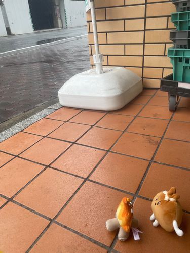 「雨」を初めて見たので緊張している

聞いた事はあったけど本当に空から水が降るのか
バケツみたいじゃなくシャワーみたいに降るんだ

もちもちきんちゃく
もちきんちゃく
ちゃく
　ちゃく
　　ちゃく

　　　　　　🚿
  　,,-¥-,    ☔️
∫⎛  ˶'ᵕ'˶ ⎞∫
   "--o-o-"