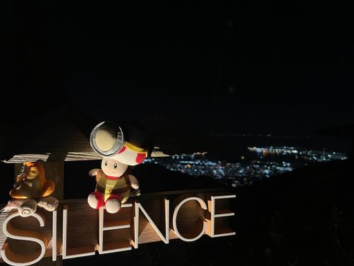 割にあったか合わないかはあーんまりわかりませんが‼️
この百万ドルの夜景は…プライスレスですね…( 'ч' )