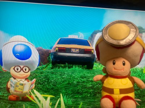 テレビと一緒に写真を撮ったら…冒険をサボっててもどこでも冒険した風に見えるのでは❓

と思ってピオ副長と写真撮ってみたんですけど…なんかグニャグニャなりましたね…( 'ч' )