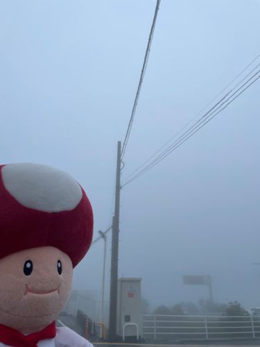 はろー、皆様久々❗️なでかシェフピオです👨‍🍳

多分僕今雲の中に居ます‼️😶‍🌫️
前が何も見えませーん‼️‼️
ですがこんな日にもお腹を空かせた人は居るはず…

家で低気圧に負けて転がってる隊長のかわりに僕が探検ですよ‼️