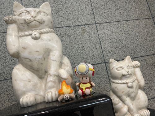 ここを‼️キャンプ地とする‼️‼️🏕️
(ご利益ありそうですし…お宝こいこい‼️です‼️( 'ч' )