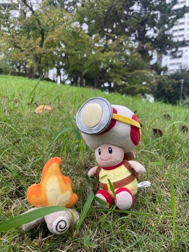 やー、台風が過ぎた後はピクニックに限りますねー( 'ч' )

自然‼️踏みしめる土‼️草の匂い‼️🏕️
生きてるーって感じしませんかね❓( 'ч' )