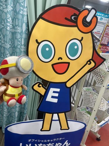 ミドリちゃんおひさ‼️( 'ч' )
元気してました⁉️

…え、別人…❓いいなちゃん…❓何を、言ってるのですか…❓¿⁇( ‘༥’ )