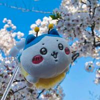 みつき