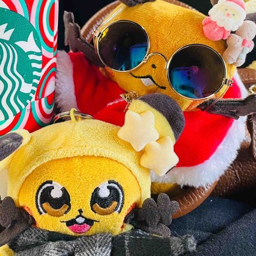 ピカちゅうずのデデンネ(手前)
名前:デデンネ
性格:まじめ
＊よく喋るのはこの子です。

fitのデデンネ(奥)
名前:ドンちゃん   
性格:ずぶとい

主の名前はチョッちゃん。