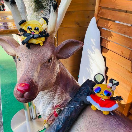 トナカイさんとお写真撮ったンネー！
ふてぶてしい顔してたンネ！