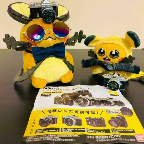 主がカメラくれたンネ📷✨