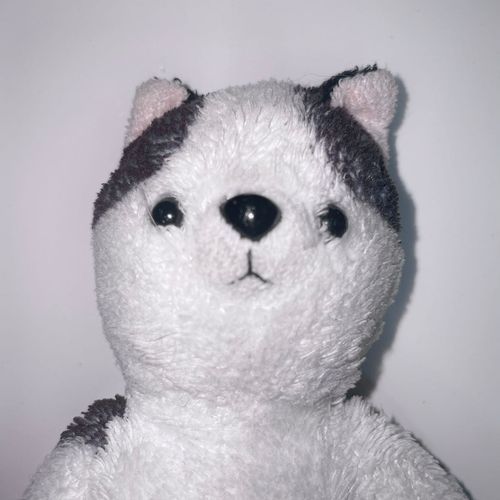 15年のおともだち𐄑𐅁̂ ⩊፟ ̂𐅀𐄑
色んな所にお出かけしてます