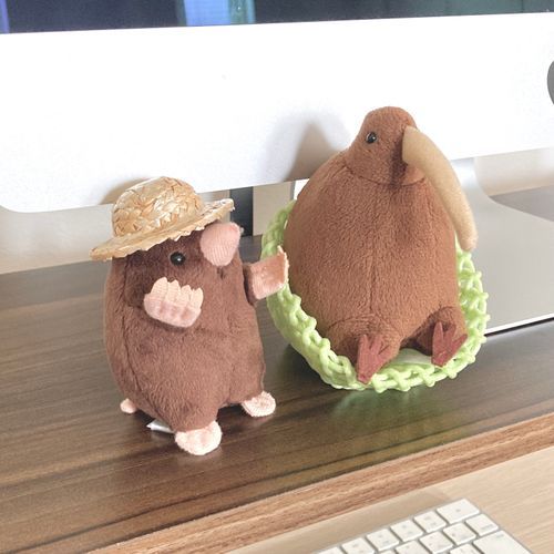 夏を感じる