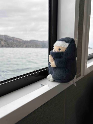 海はいいな〜。海といえば、加山雄三？それともサザン？ニンニン🥷
