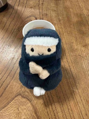 おはようございます🙇ニンニン🥷お茶を一服🍵

持ち主が体調を崩して今日はお休みするそうです。最近頑張っていたから、疲れが出たのかもしれません。

ぼくも持ち主を労いました。「頑張ってるね」と声をかけてみました。気持ちが伝わっているといいな〜。