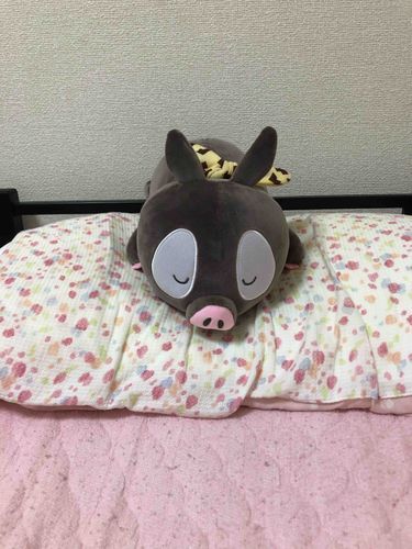 持ち主はポムポムプリンが大好き！らんま1/2のPちゃんも好き。自分のことを好きになってくれる人がかわいいこぶたさんなんて、いいですよね。持ち主さん曰く、良牙くんがらんま1/2で特に好き！だそう。みんなはどんなキャラが好きですか？