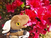 ディノ