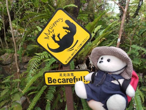DINO恐竜PARK やんばる亜熱帯の森
ここにはいろんな恐竜さんがいたの🦖