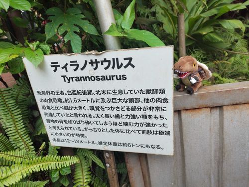 ぼくもいつかこれぐらい大きくなれるデショか…🦖💭