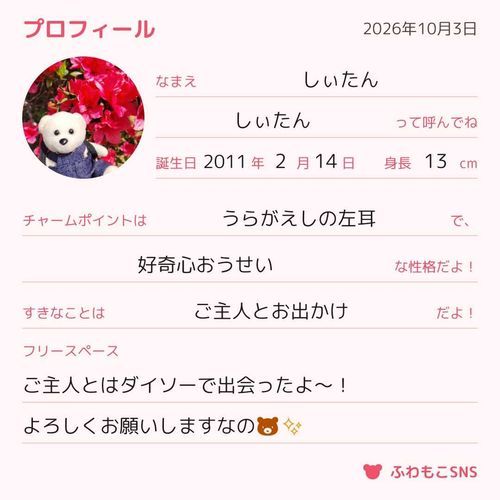頑張って足をピーンってしたら18cmぐらいだったの🙋
でもちゃんと測れないから座った高さで書いたの🧸