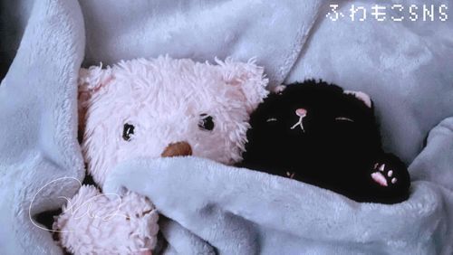 はなとねむるのおへやにいるたくさんのぬいぐるみたちがのってるよ
↓
#ねむるのへや

みんな はながおせわしてますﾌﾝ
