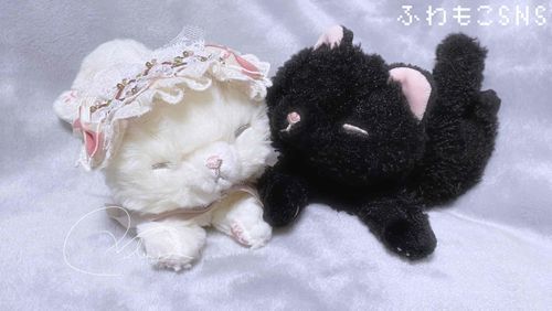 こんばんにゃ！くろぅりーにゃ！
ままさんがさいきんいそがしくて、ふわもこにこれにゃいから はなちゃんのあかうんとをかりたのにゃ！

これは 4/6 しろのひ さつえいの
おめかしふぇるにゃ！
かわいいのにゃ〜🤍