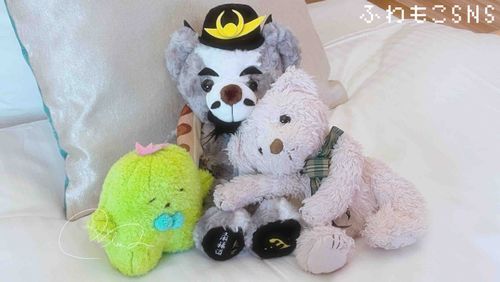あたらしいなかまはひげとしょくぶつだよ