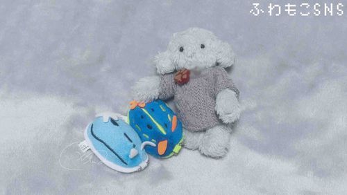 ぺっとのあおちゃんとみぞれちゃんです
ゆきまるがおせわしてますほんとうです！