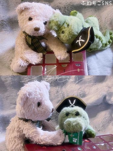 7日目！
くろこといっしょにあけたよ🐊🌟