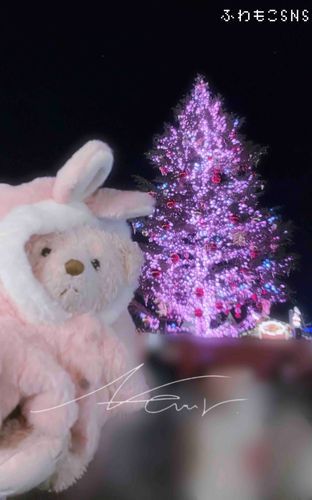 横浜赤レンガ倉庫のクリスマスマーケットにいったよ🎄
ツリーおおきくてきれいだったの！