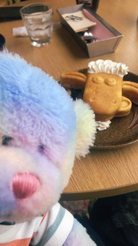 こっちゃん（コットンのあだ名）とひつじのショーンワッフル！