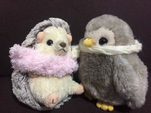 お友達の福ちゃん
だよーマフラー交換
したんだ〜☆