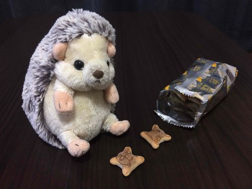 食べたいんだけど食べていいのかなぁ？