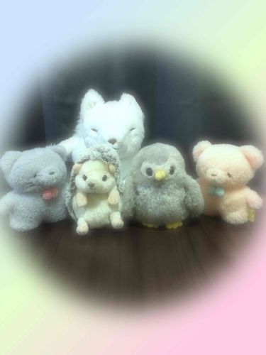 ハリリの大好きな友達みんなでハイ、チーズいい写真がとれたよ！