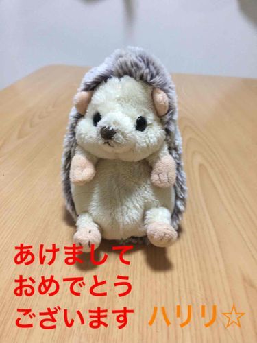 あけましておめでとうございます！