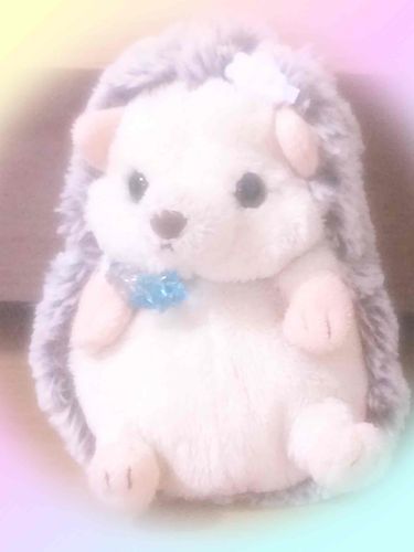 ハリリ、オシャレを
してみたよ❤️
似合ってる？