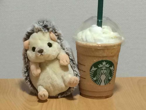 今日は、スタバで
期間限定のフラペチーノを飲んだよ！とても冷たかったけど美味しかった！