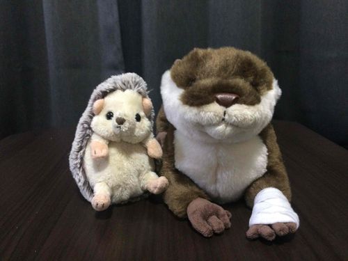 ケガしちゃったお友達に会いにいったよ。
ケガしてるのにすごい元気だった！！