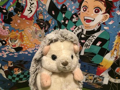 鬼滅の塗り絵のカバー
カッコいい！
炭治郎はカッコよく、
禰豆子は可愛い！❤️