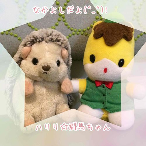 最近仲良くなった
群馬ちゃん！
群馬県の草津から来たよ！
ずっと仲良しでいたいなぁ