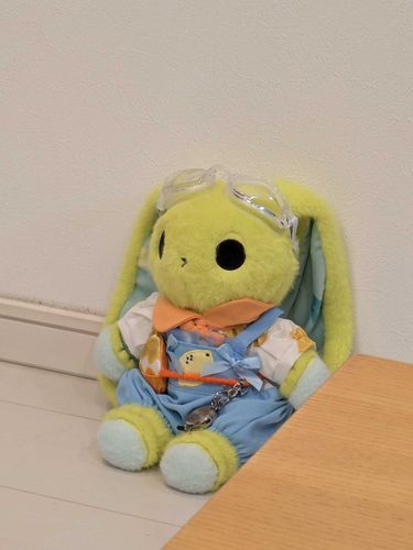 新しいおべべです。
買った記念に始めました。よろしくお願いします