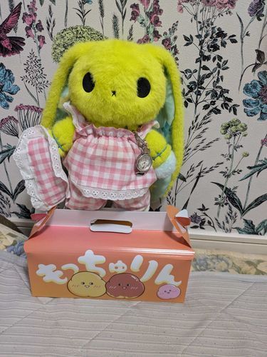 これは人間が長時間店に並んで買ったもっちゅりんの箱に乗るスキップ
「そんなことよりこっちをみて！！！」って言ってるみたい