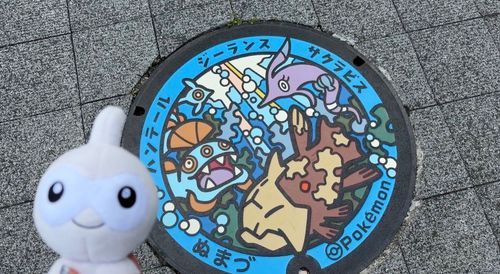 ポケふた！🐟