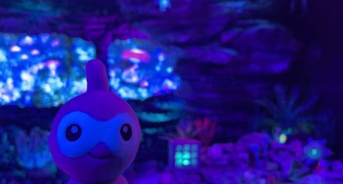 目の周りが光った！
沼津港深海水族館