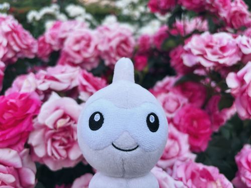 🌹🌹🌹ポワ🌹🌹🌹