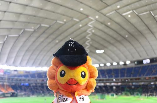 まけましたﾜ！
野球観戦のポワ⚾️