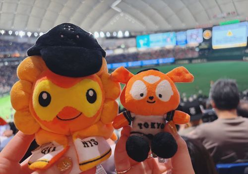 勝った‼️⚾️
野球観戦ポワたち