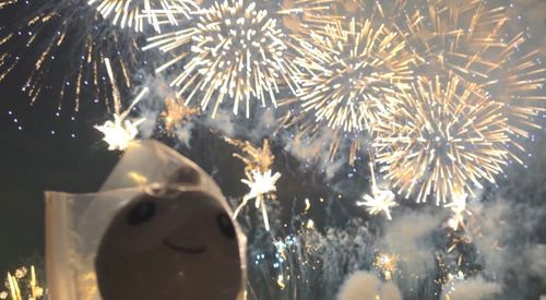 🎆すごかったねぇ
ちょっと宇宙猫みたいな写真だな